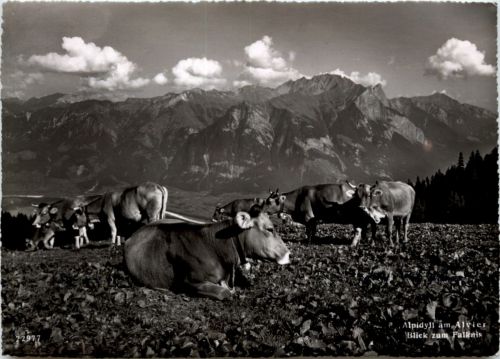 Küphe am Alvier