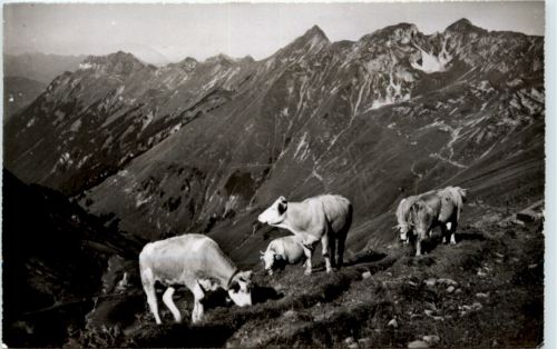 Kuh - rothorn Kulm