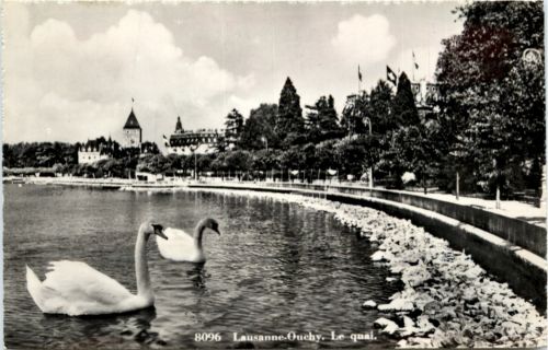 Ouchy - Lausanne - Schwan