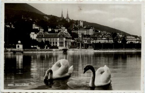 Neuchatel - Schwan