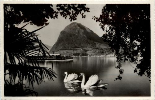 Lago di Lugano - Schwan