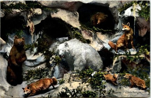 Gletschergarten Luzern - Bär - Fuchs