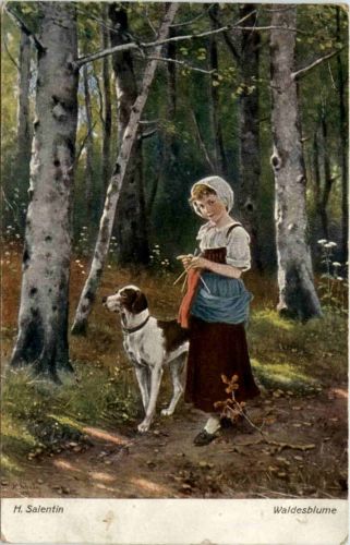 H. Salentin - Waldesblume