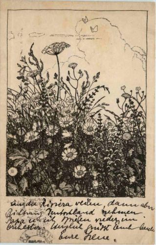 Rudolf Steck - Juniwiese