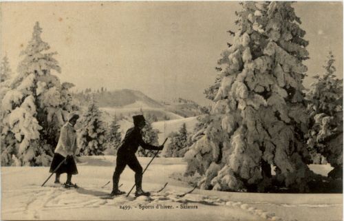 Skifahrer