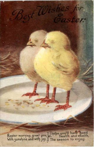 Kücken