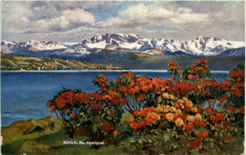 Zürich - Am alpenquai