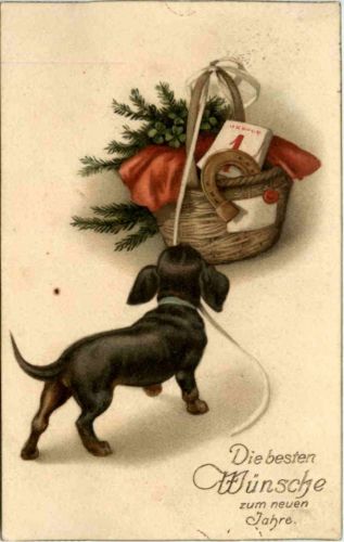 Neujahr - Dog