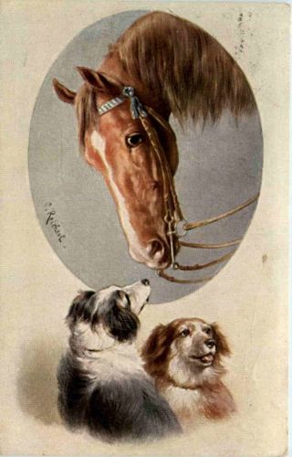 Horse and Dog