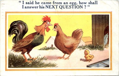 I said he came from an egg