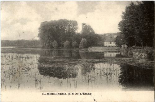 Moulineux