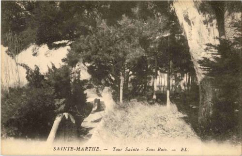 Sainte Marthe
