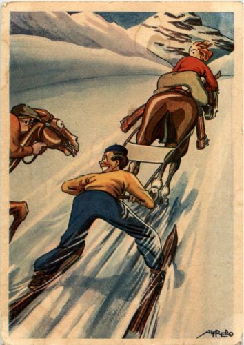Pferd Skifahren Humor