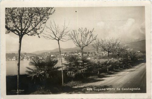 Lugano visto da Castagnola