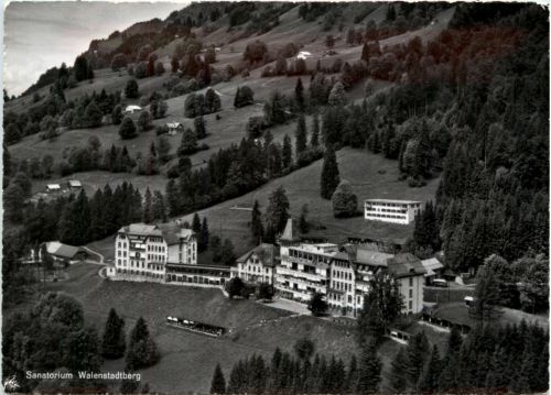 Sanatorium Walenstadtberg