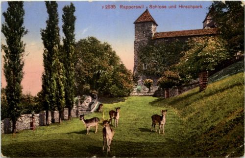 Rappersewil - Hirschpark
