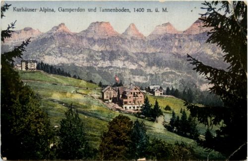 Kurhaus alpina Gamperdon und Tannenboden - Flums