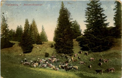 Sommerfrischler Toggenburg