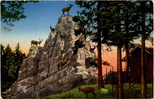 St. Gallen - Steinbockfelsen