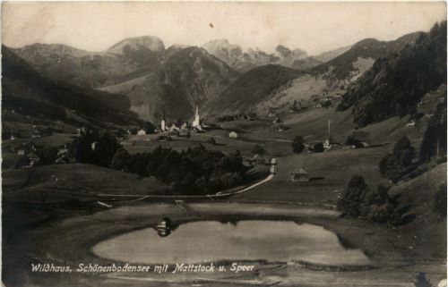 Wildhaus
