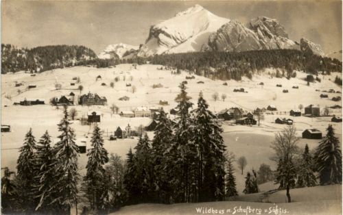 Wildhaus