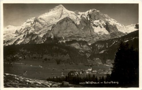 Wildhaus