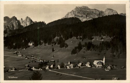 Wildhaus