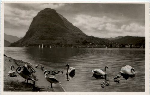 Lugano - Cigni