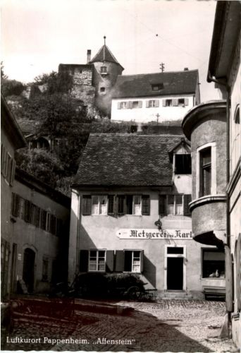 Pappenheim - Affenstein