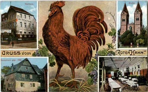 Arenberg - Hotel Roter Hahn