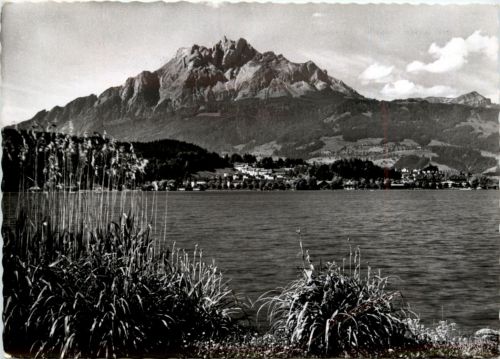 Tribschen mit Pilatus