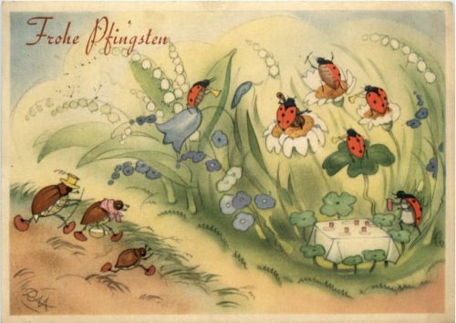 Pfingsten - Marienkäfer - Maikäfer
