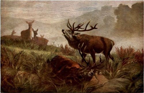 C. F. Deiker - Hirsch - DEGI