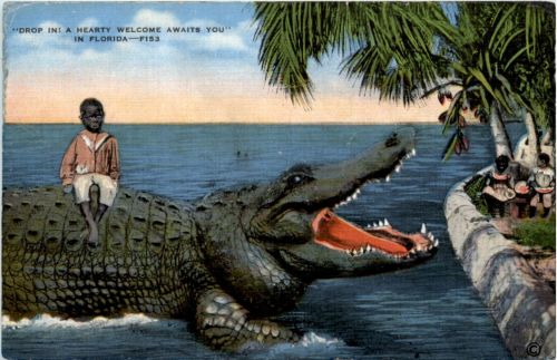 Corocodile