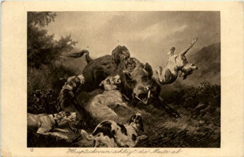 Schwein schlägt die Meute ab