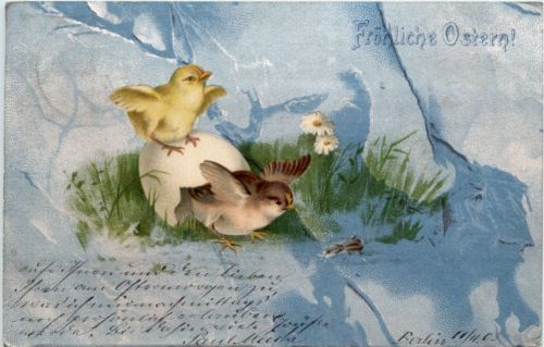 Ostern - Kücken