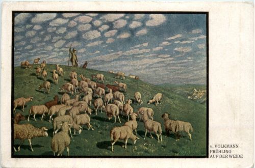 Volkmann - Frühling auf der Weide schafe