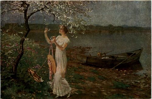 Hermann Koch - Blüten