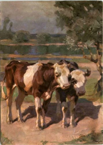 Kühe