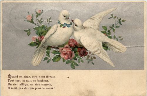 Tauben - Prägekarte