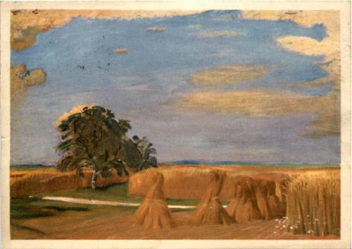 Pro Infirmis - Kornäcker bei Stadel