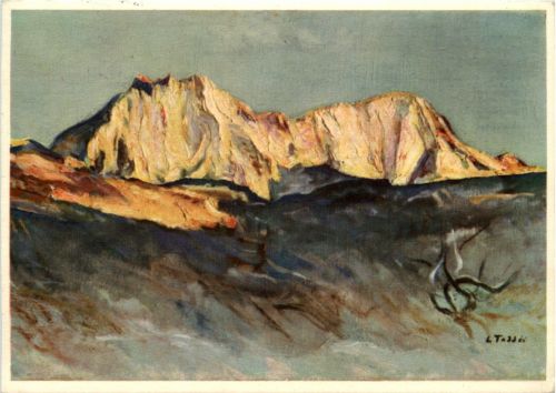 Pro Infirmis - Luigi Taddel