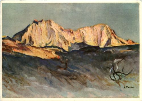 Pro Infirmis - Luigi Taddel