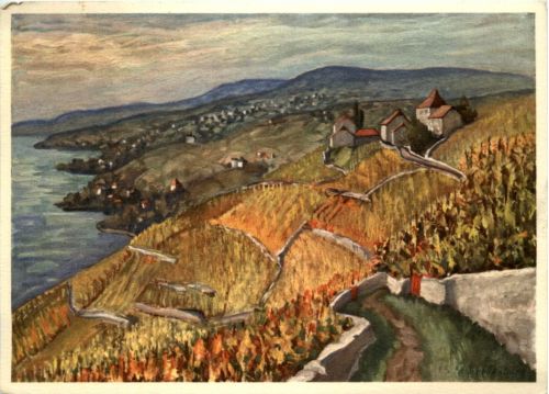 Weinberg am Genfersee - J.R. Schellenberg