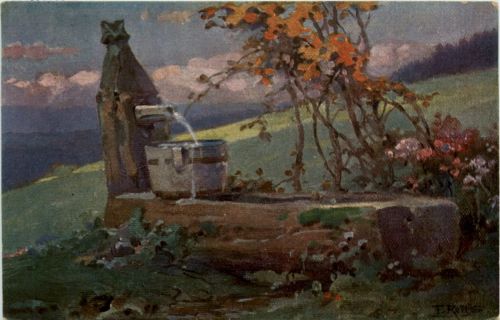 Fr. Reiss - Quellen im Schwarzwald