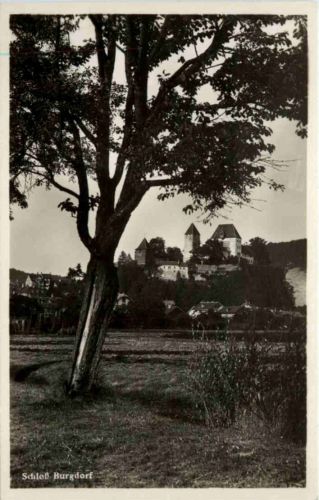 Schloss Burgdorf