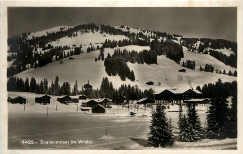 Saanenmöser im Winter
