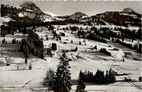 Saanenmöser - Skifelder am Hornberg