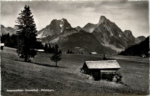 Saanenmöser - Skifelder am Hornberg