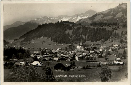 Saanen